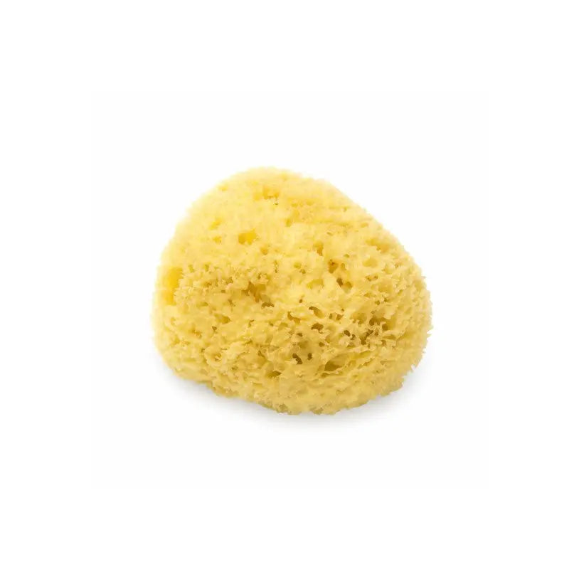 Pferde Naturschwamm
