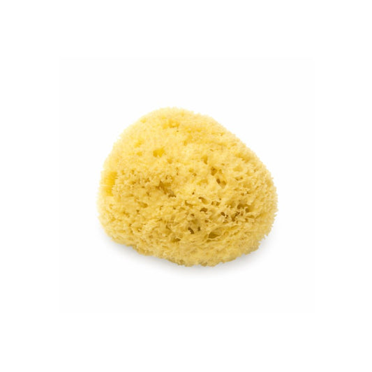 Pferde Naturschwamm