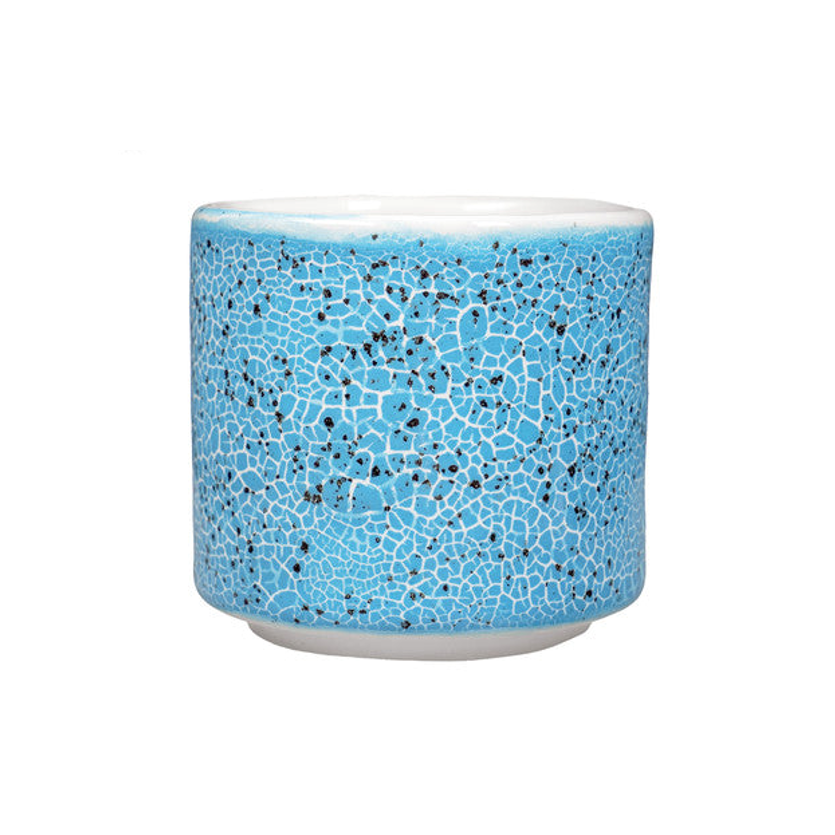 Amaco CR-22 Steinzeugglasur Speckled Teal